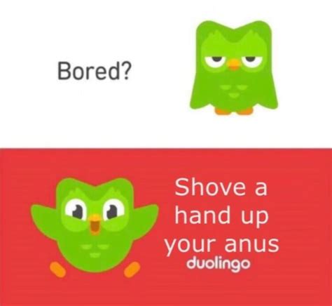 duolingo memes funny|duolingo memes clean.